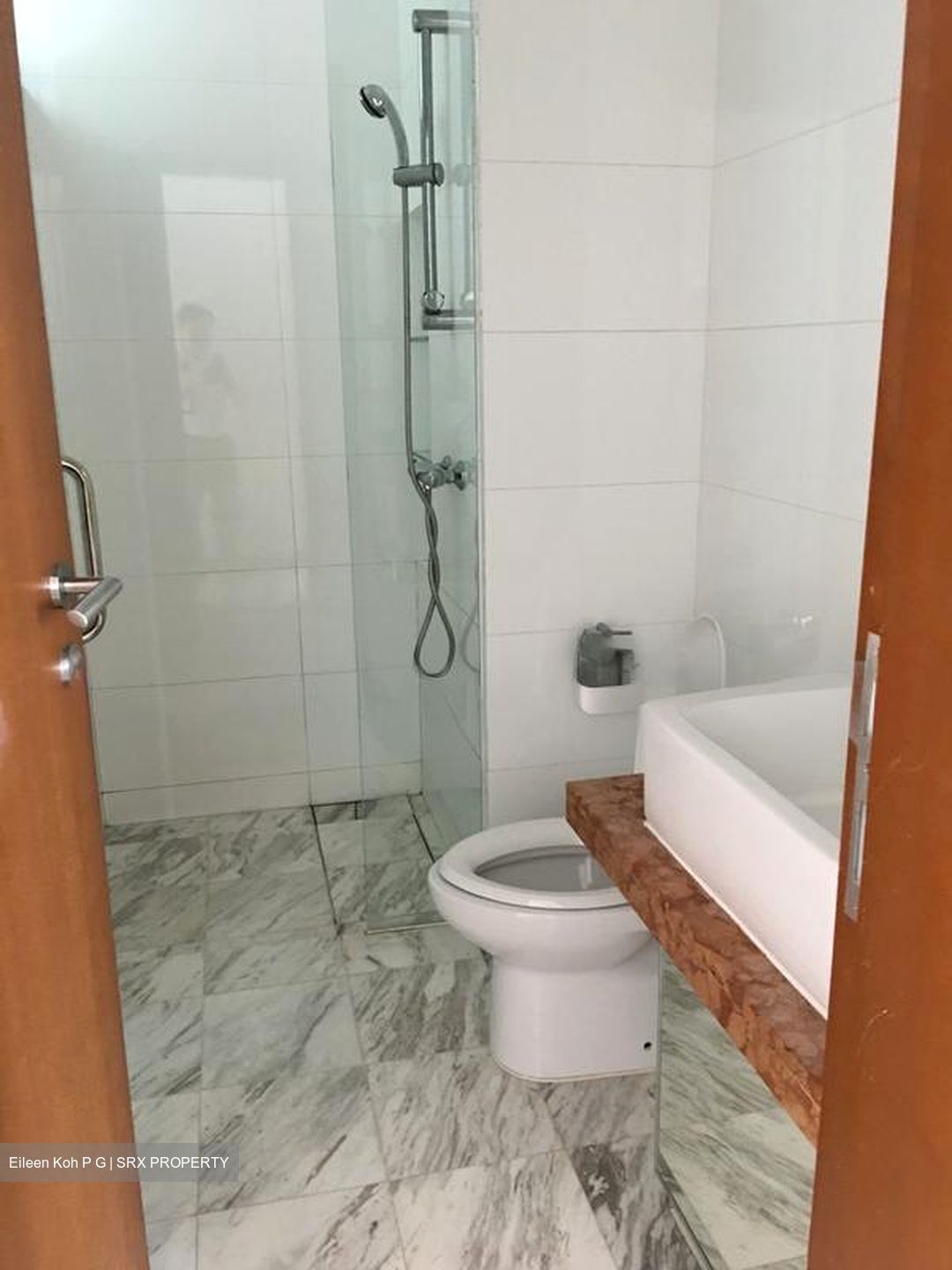 Belmond Green (D10), Condominium #504108051